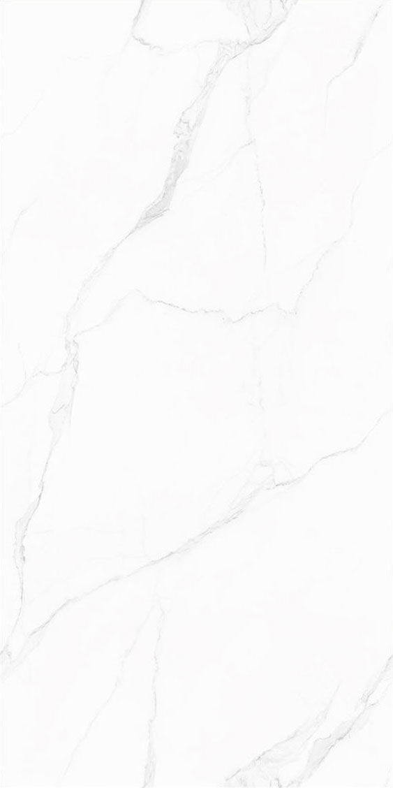 pp电子游戏(中国)官方网站